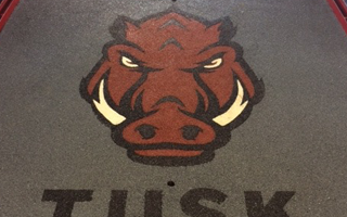 University of Arkansas Custom Logo
